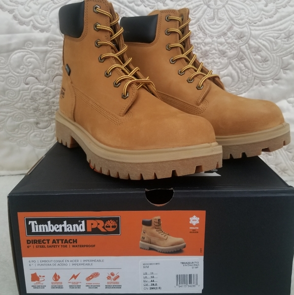 timberland gpo